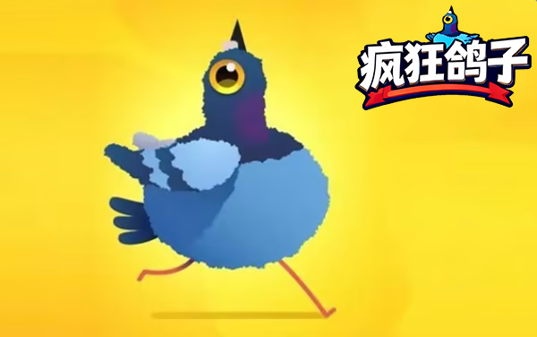 疯狂鸽子