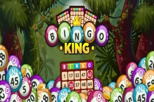 宾果之王(Bingo King)