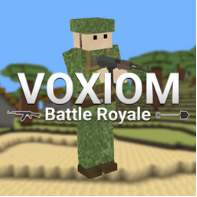 voxiom.io voxiom.io