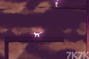森林猫游戏截图4 森林猫游戏截图4