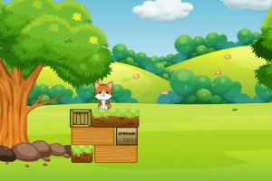 小猫落地