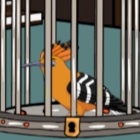 救援戴胜鸟