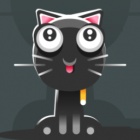 猫狗生活