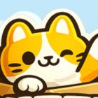 箱子里的猫