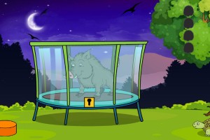 困在笼里的野猪