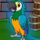 解救金刚鹦鹉