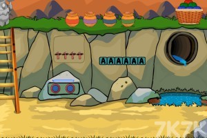 《救援森林绿龟》游戏截图1 《救援森林绿龟》游戏截图1