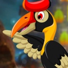 解救飞鸟 解救飞鸟