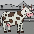 帮助饥饿的动物