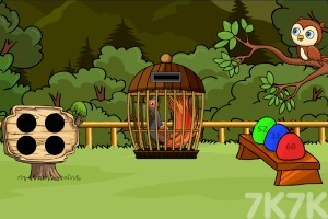 《救援琴鸟》游戏截图3 《救援琴鸟》游戏截图3
