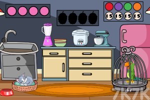 《救援绿鹦鹉》游戏截图3 《救援绿鹦鹉》游戏截图3