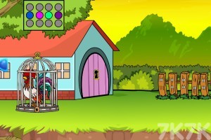 《解救彩色公鸡》游戏截图3 《解救彩色公鸡》游戏截图3