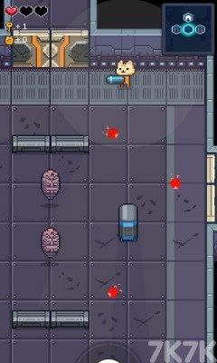 《宇宙猫生存》游戏截图1 《宇宙猫生存》游戏截图1