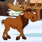 救援受伤的麋鹿