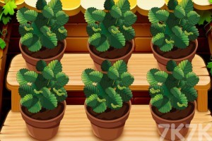 《米娅的草莓园》游戏截图1 《米娅的草莓园》游戏截图1