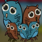 救援野生猫头鹰