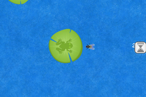 《青蛙捕食》游戏截图1 《青蛙捕食》游戏截图1