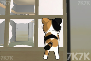 《小猫跳一跳》游戏截图3 《小猫跳一跳》游戏截图3