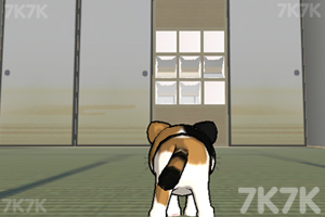 《小猫跳一跳》游戏截图2 《小猫跳一跳》游戏截图2