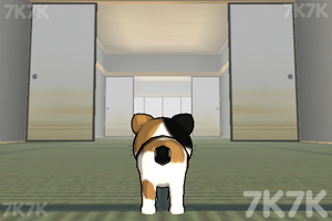 《小猫跳一跳》游戏截图1 《小猫跳一跳》游戏截图1