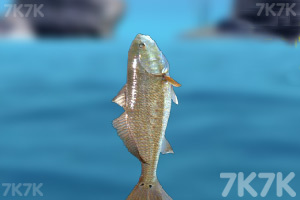 《海边钓鱼2》游戏截图3 《海边钓鱼2》游戏截图3