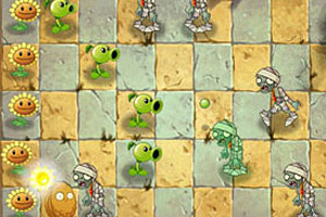 植物大战僵尸23