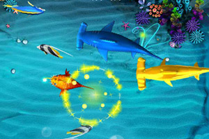 《钓鱼达人之浅滩狩猎》游戏截图1 《钓鱼达人之浅滩狩猎》游戏截图1