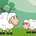 帮助小羊