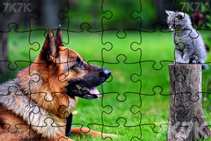 《拼出可爱小狗》游戏截图3 《拼出可爱小狗》游戏截图3