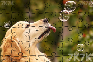 《拼出可爱小狗》游戏截图2 《拼出可爱小狗》游戏截图2