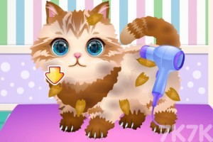 《我的宠物店》游戏截图2 《我的宠物店》游戏截图2