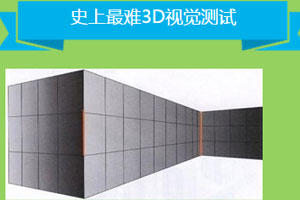 《史上最难3D视觉测试》游戏截图1 《史上最难3D视觉测试》游戏截图1