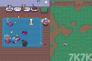 《照顾像素猫》游戏截图3