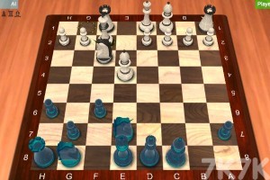 《国际象棋对弈》游戏截图2 《国际象棋对弈》游戏截图2