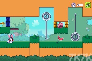 《古怪兔2》游戏截图3 《古怪兔2》游戏截图3