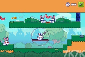 《古怪兔2》游戏截图4 《古怪兔2》游戏截图4