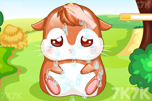 《我的仓鼠宝宝》游戏截图2 《我的仓鼠宝宝》游戏截图2