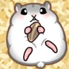 饥饿的仓鼠