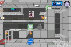 《薛定谔的猫2》游戏截图2 《薛定谔的猫2》游戏截图2