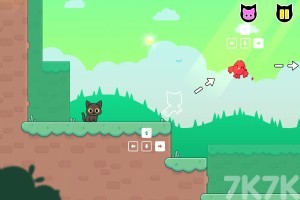 《猫咪抓小鸟》游戏截图1 《猫咪抓小鸟》游戏截图1