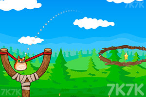 《愤怒猫发射无敌版》游戏截图3 《愤怒猫发射无敌版》游戏截图3