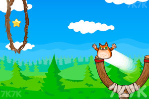 《愤怒猫发射无敌版》游戏截图1 《愤怒猫发射无敌版》游戏截图1