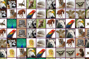 《斑马连连看》游戏截图1 《斑马连连看》游戏截图1