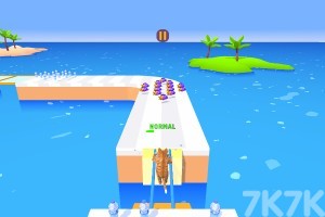 《宠物减肥训练》游戏截图4 《宠物减肥训练》游戏截图4