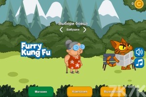 《功夫奶奶》游戏截图1 《功夫奶奶》游戏截图1