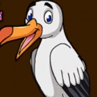 救援信天翁 救援信天翁