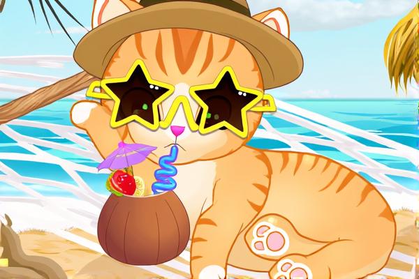 宠物喵星人的夏日之旅