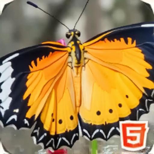 美丽的花海拼图