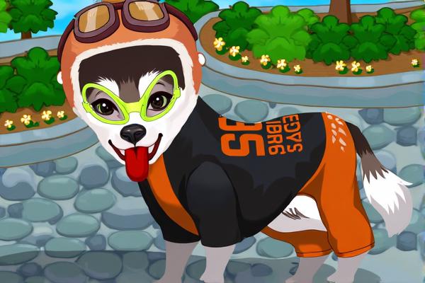 照顾可爱的萌犬