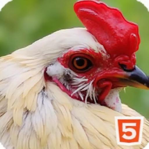 可爱的家禽拼图